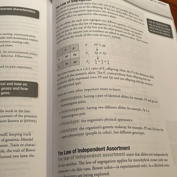 TExES Core Subjects EC-6 (291) Teacher exam Prep book texas - Picture 8 of 10